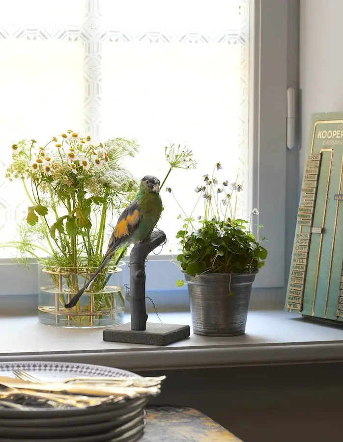 Fönsterbänk med blommor och en papegojfigur, kök i Gamla stan
